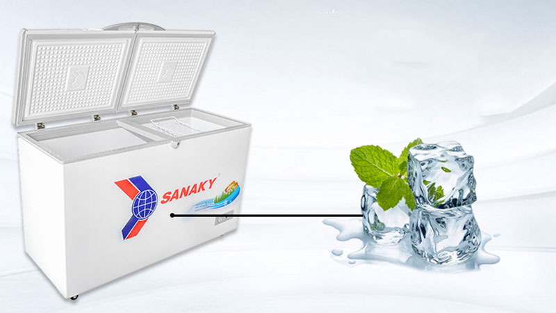 Tủ đông hãng Sanaky ví dụ